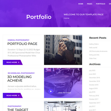 Portfolio Category